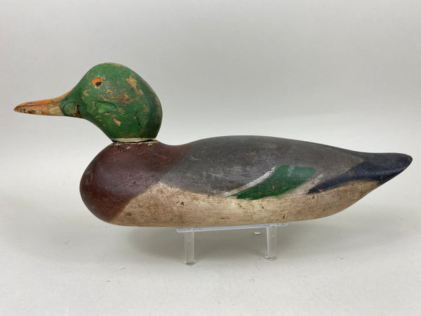 Mason Painted Eye Mallard Drake (#6597)