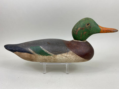 Mason Painted Eye Mallard Drake (#6597)