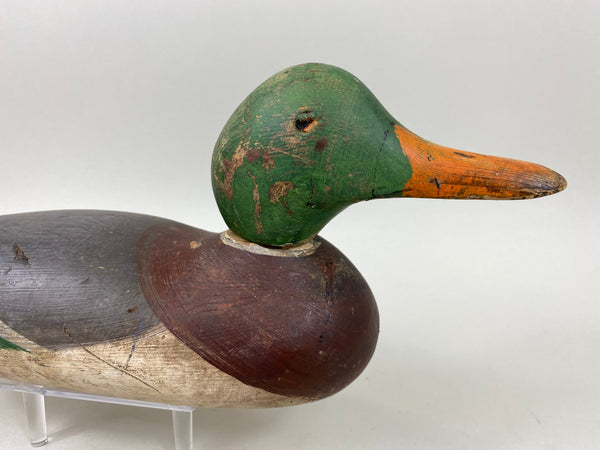 Mason Painted Eye Mallard Drake (#6597)