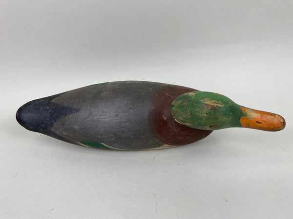 Mason Painted Eye Mallard Drake (#6597)
