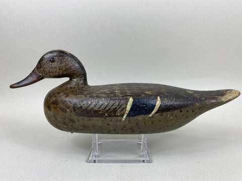 Ed Shurts Mallard Hen, Graves Paint (#6602)