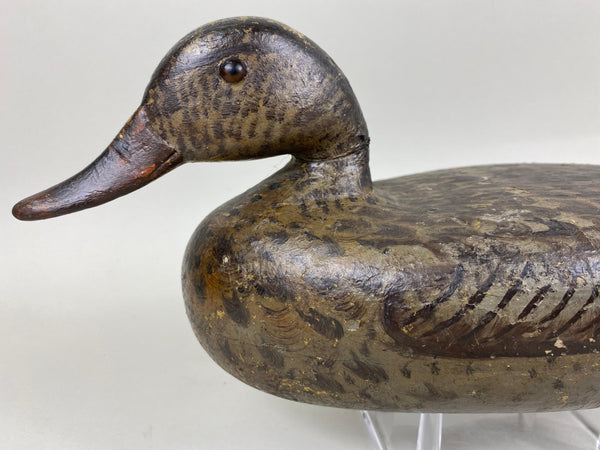 Ed Shurts Mallard Hen, Graves Paint (#6602)
