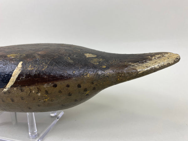 Ed Shurts Mallard Hen, Graves Paint (#6602)