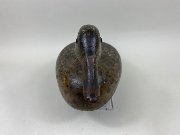 Ed Shurts Mallard Hen, Graves Paint (#6602)