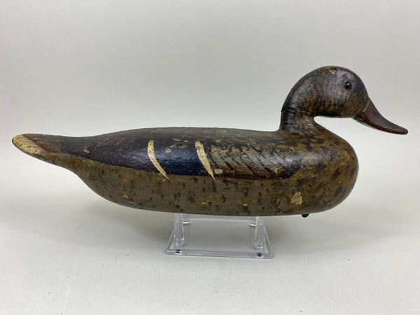 Ed Shurts Mallard Hen, Graves Paint (#6602)