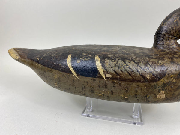 Ed Shurts Mallard Hen, Graves Paint (#6602)
