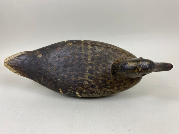 Ed Shurts Mallard Hen, Graves Paint (#6602)