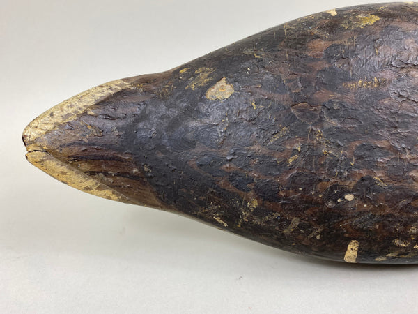 Ed Shurts Mallard Hen, Graves Paint (#6602)