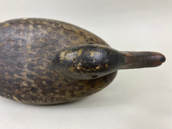 Ed Shurts Mallard Hen, Graves Paint (#6602)