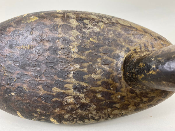 Ed Shurts Mallard Hen, Graves Paint (#6602)