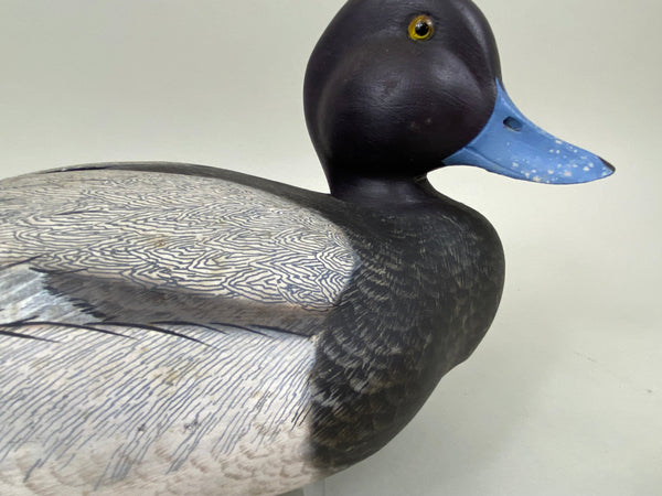 Ken Harris Blue Bill Drake (#6603)