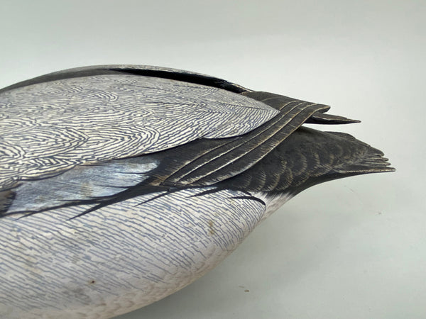 Ken Harris Blue Bill Drake (#6603)