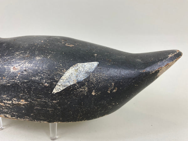 Evans Coot, All Original (#6657)