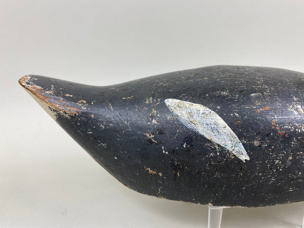 Evans Coot, All Original (#6657)