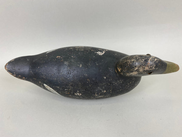 Evans Coot, All Original (#6657)