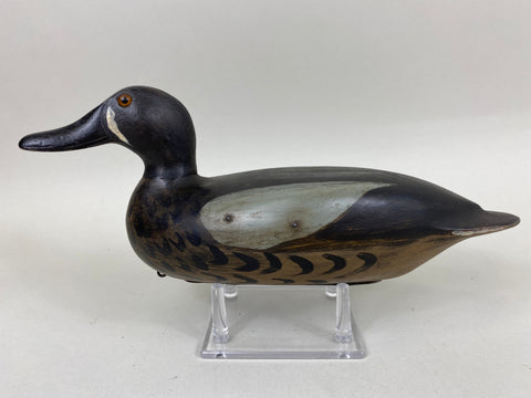 Elliston Style Blue Wing Teal (#6658)