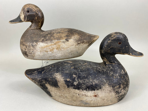 Myron Frisque Blue Bills Rig mate Pair, Green Bay (#6661)