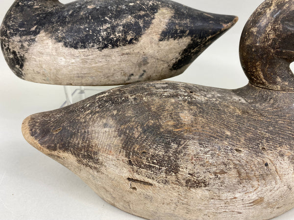 Myron Frisque Blue Bills Rig mate Pair, Green Bay (#6661)