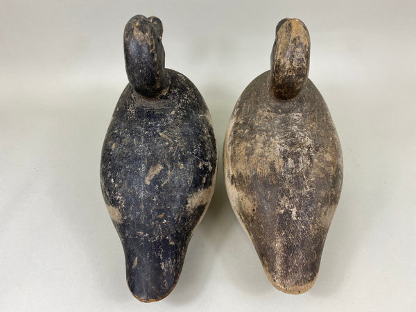 Myron Frisque Blue Bills Rig mate Pair, Green Bay (#6661)