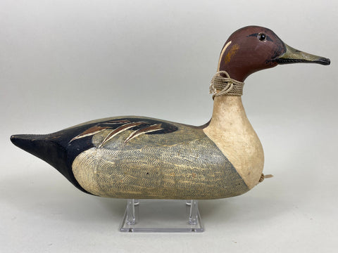 Rich Reimenschneider Pintail Drake (#6665)