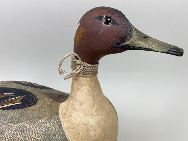 Rich Reimenschneider Pintail Drake (#6665)