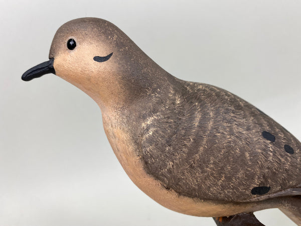 Marv Meyer Morning Dove, Branded (#6669)