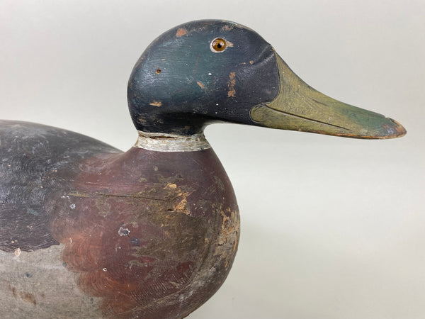 Mason Premier Mallard Drake, Original Paint (#6715)