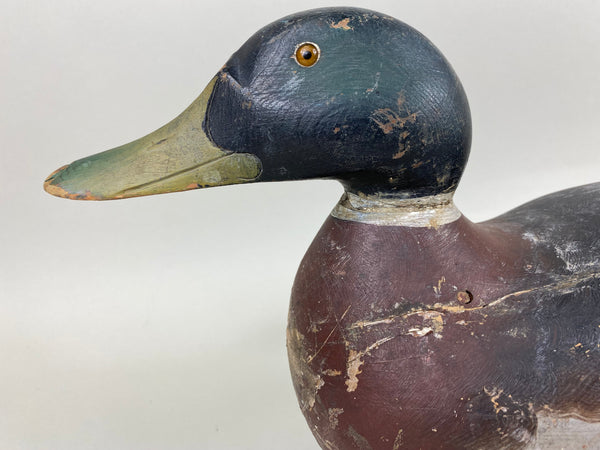 Mason Premier Mallard Drake, Original Paint (#6715)