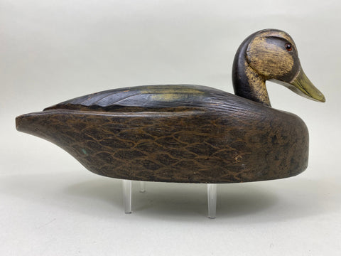 Harry "Spud" Norman Black Duck (#6721)