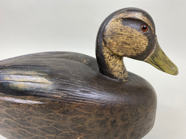 Harry "Spud" Norman Black Duck (#6721)