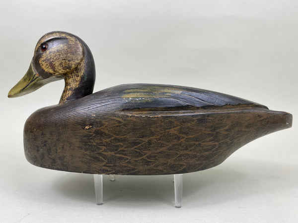 Harry "Spud" Norman Black Duck (#6721)