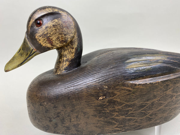 Harry "Spud" Norman Black Duck (#6721)