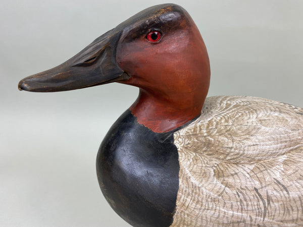 R.W. Smoker Canvasback Drake (#6762)