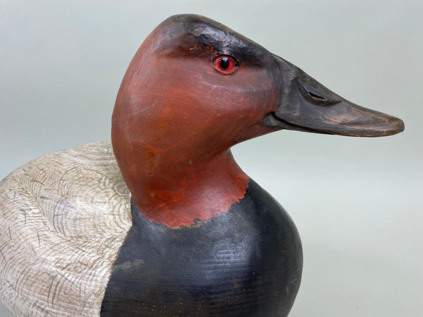 R.W. Smoker Canvasback Drake (#6762)