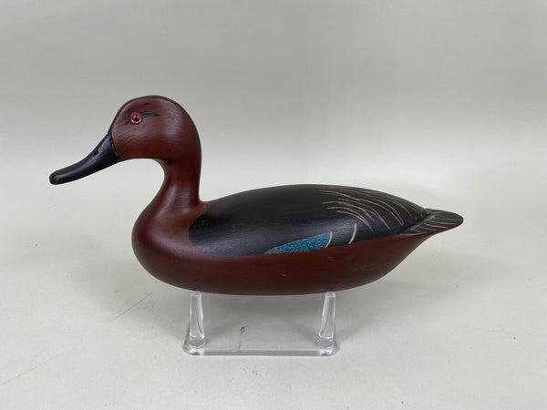 Spielman Cinnamon Teal (#6808)