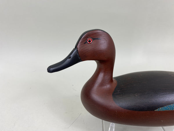 Spielman Cinnamon Teal (#6808)