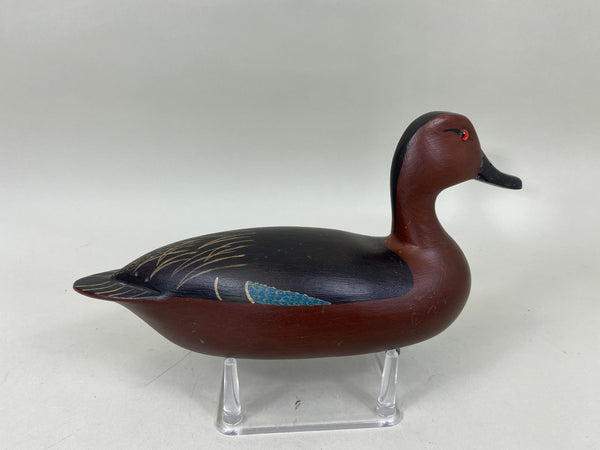 Spielman Cinnamon Teal (#6808)