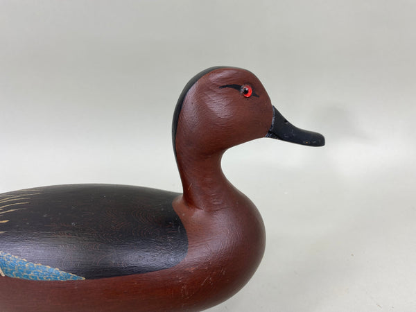 Spielman Cinnamon Teal (#6808)