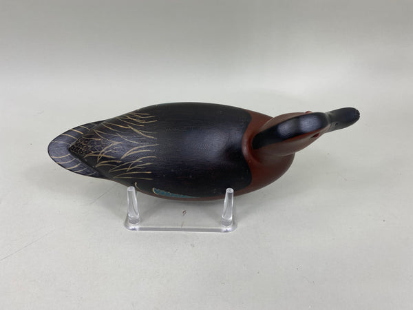 Spielman Cinnamon Teal (#6808)