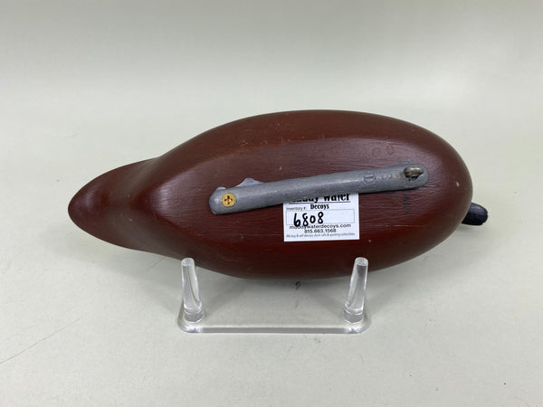 Spielman Cinnamon Teal (#6808)