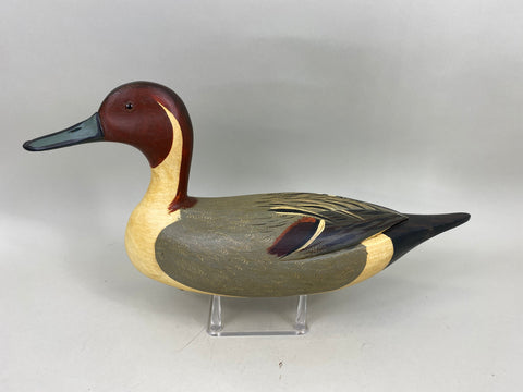 Jim Slack Pintail Drake (#6818)