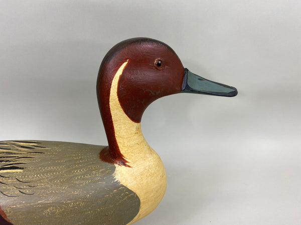 Jim Slack Pintail Drake (#6818)