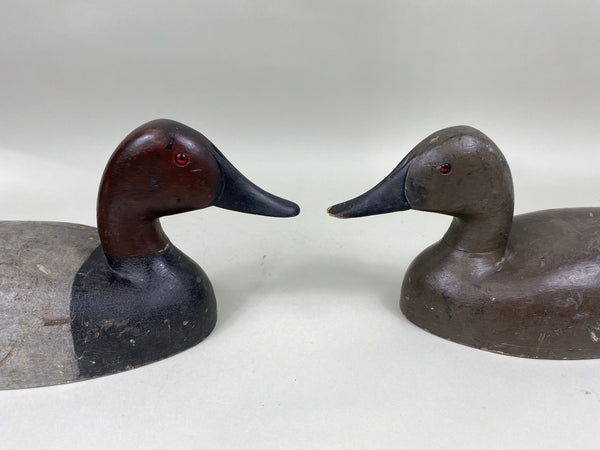 Unknown Canvasbacks Pair, Mostly Original Paint, Circa 1920's (#6825)