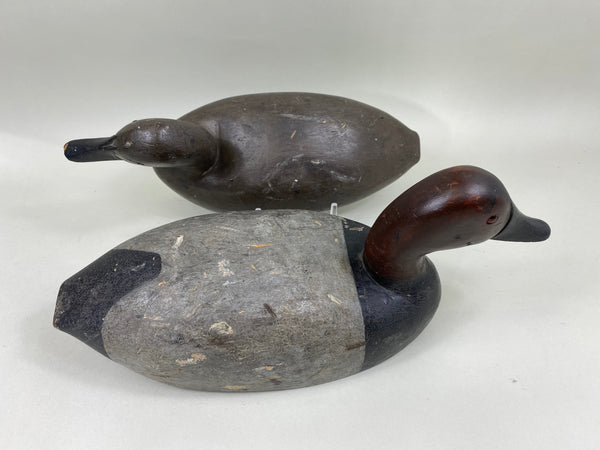 Unknown Canvasbacks Pair, Mostly Original Paint, Circa 1920's (#6825)