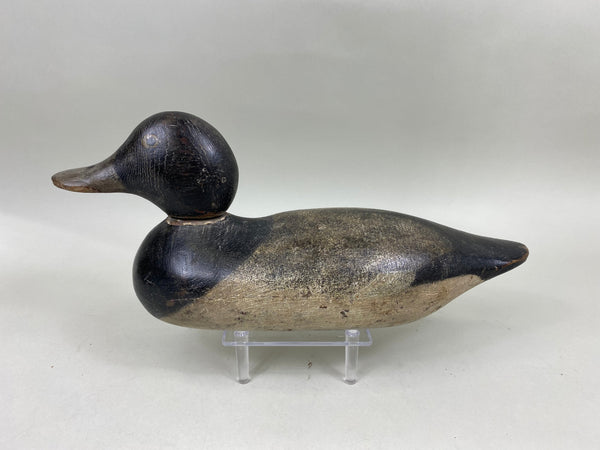 Mason Blue Bill Painted Eye (#6836)