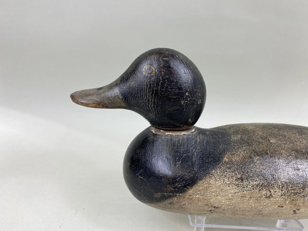 Mason Blue Bill Painted Eye (#6836)