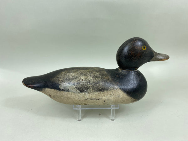 Mason Blue Bill Painted Eye (#6836)