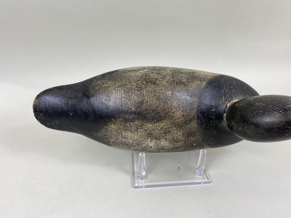 Mason Blue Bill Painted Eye (#6836)