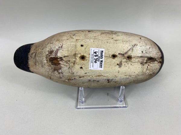 Mason Blue Bill Painted Eye (#6836)