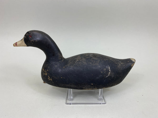 Ron Koch Coot Hunting Decoy (#6966)